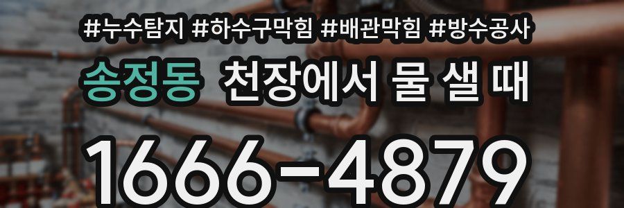 송정동 천장에서 물 샐 때