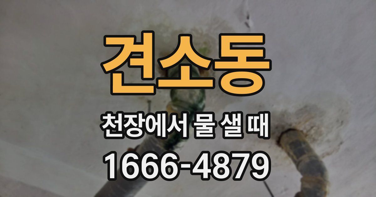 견소동 천장에서 물 샐 때