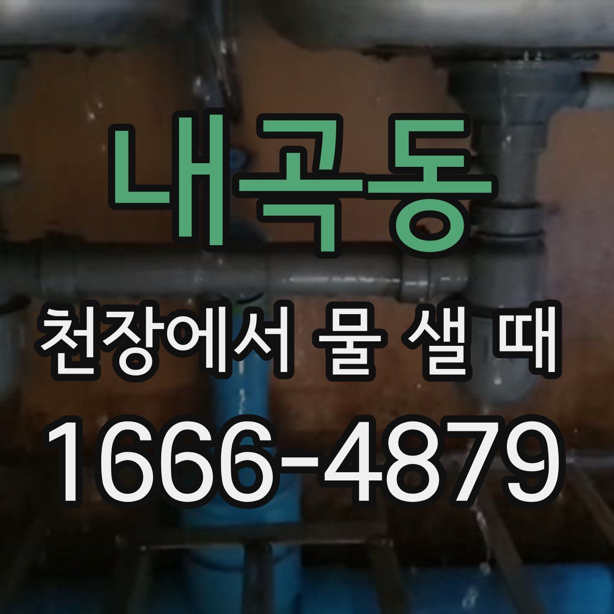 내곡동 천장에서 물 샐 때