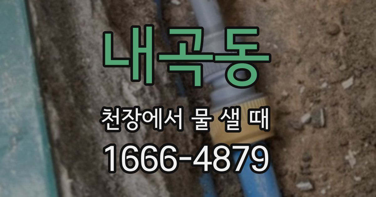 내곡동 천장에서 물 샐 때