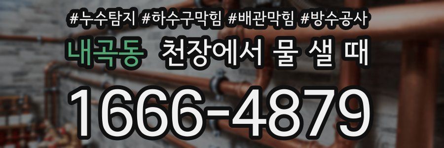내곡동 천장에서 물 샐 때