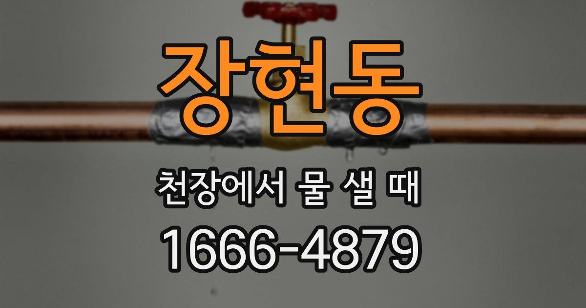 장현동 천장에서 물 샐 때