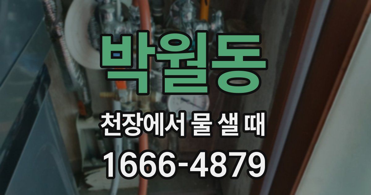 박월동 천장에서 물 샐 때