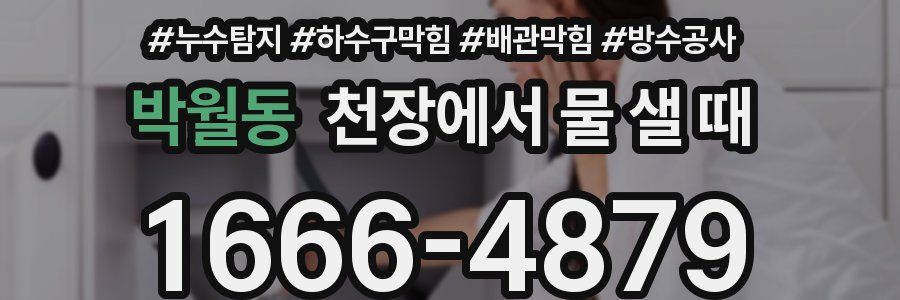 박월동 천장에서 물 샐 때