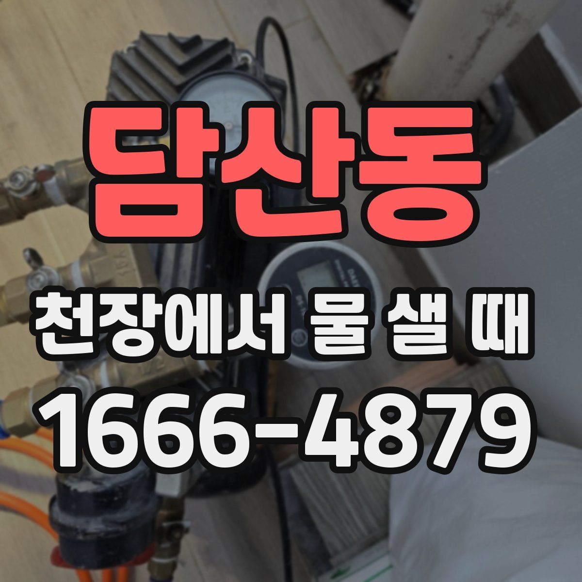담산동 천장에서 물 샐 때