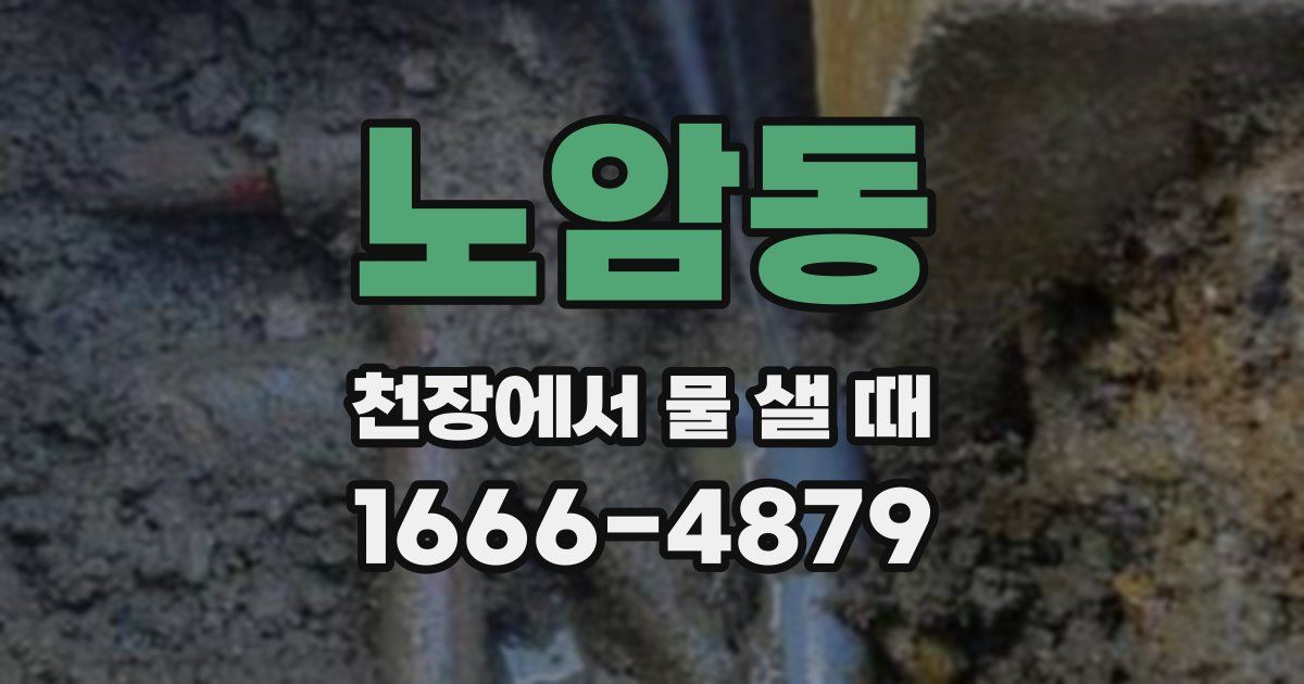 노암동 천장에서 물 샐 때
