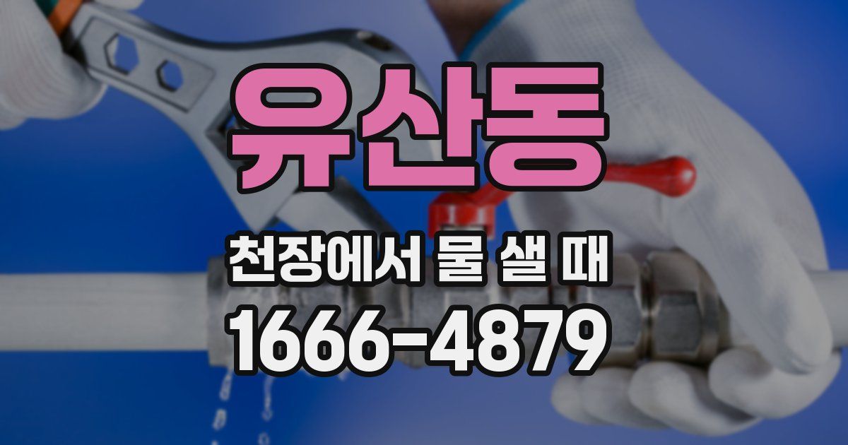 유산동 천장에서 물 샐 때