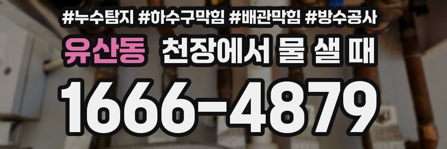 유산동 천장에서 물 샐 때