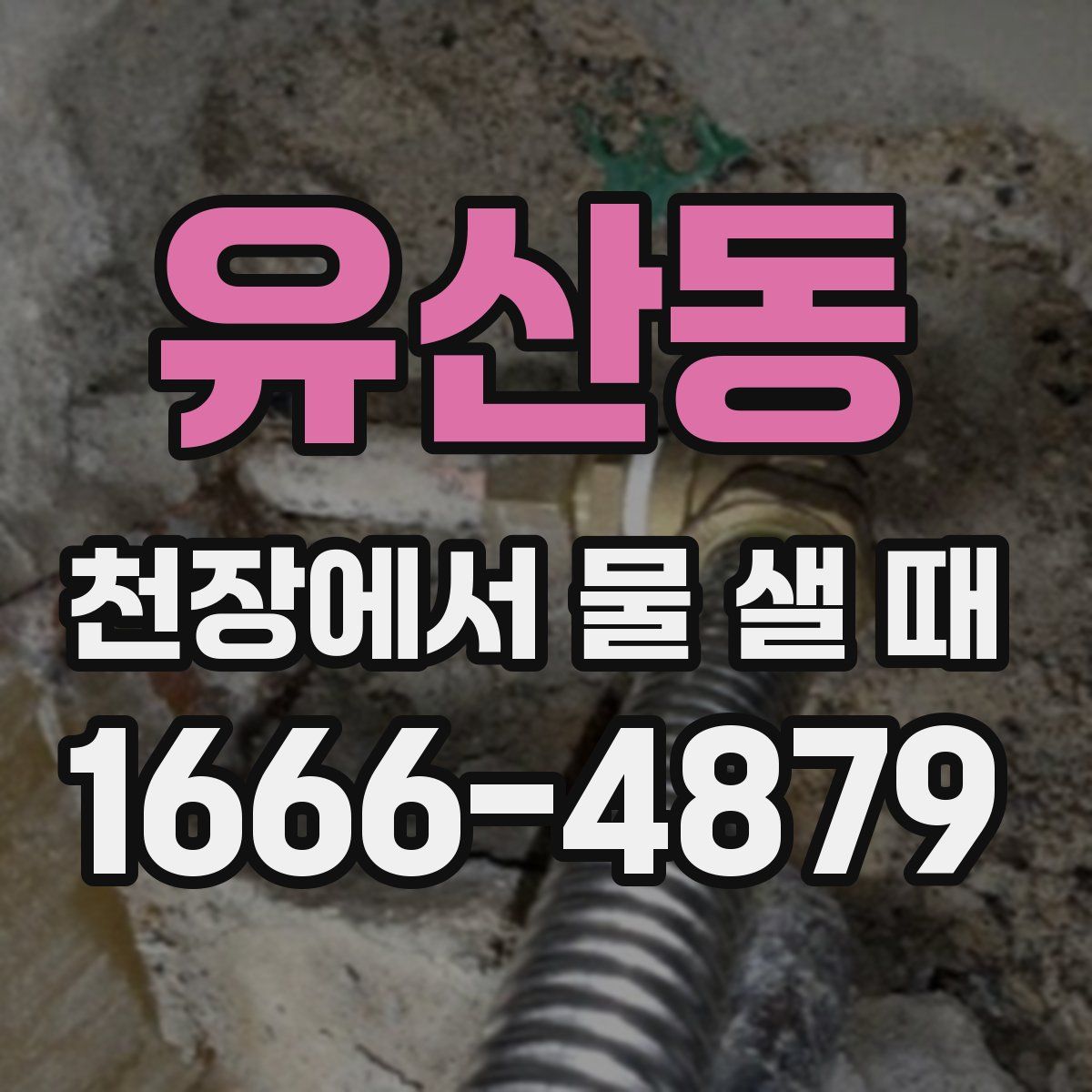 유산동 천장에서 물 샐 때
