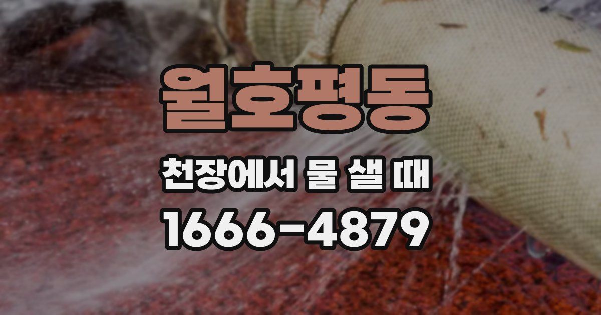 월호평동 천장에서 물 샐 때