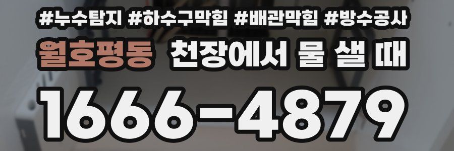 월호평동 천장에서 물 샐 때