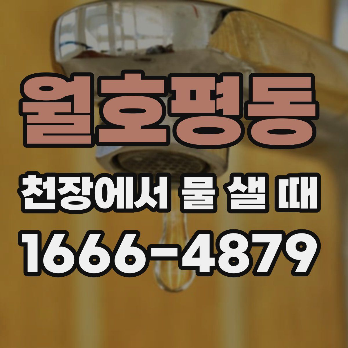 월호평동 천장에서 물 샐 때