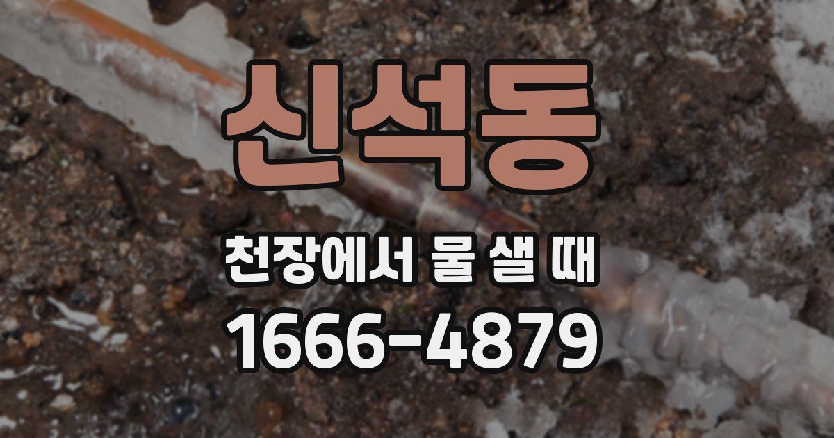 신석동 천장에서 물 샐 때