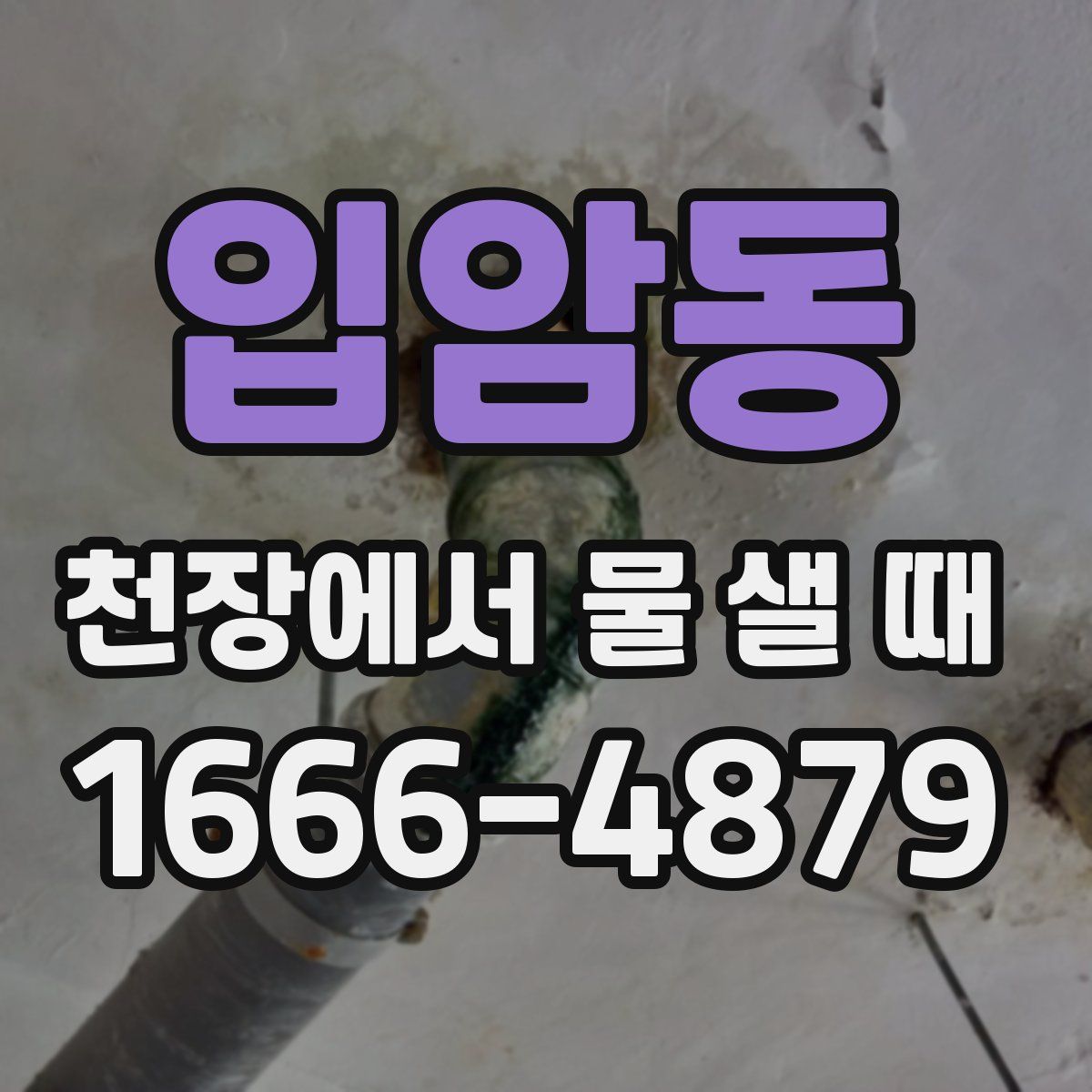 입암동 천장에서 물 샐 때