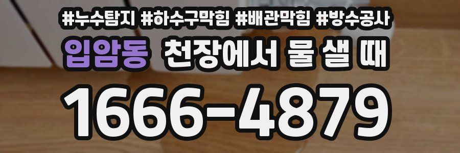 입암동 천장에서 물 샐 때