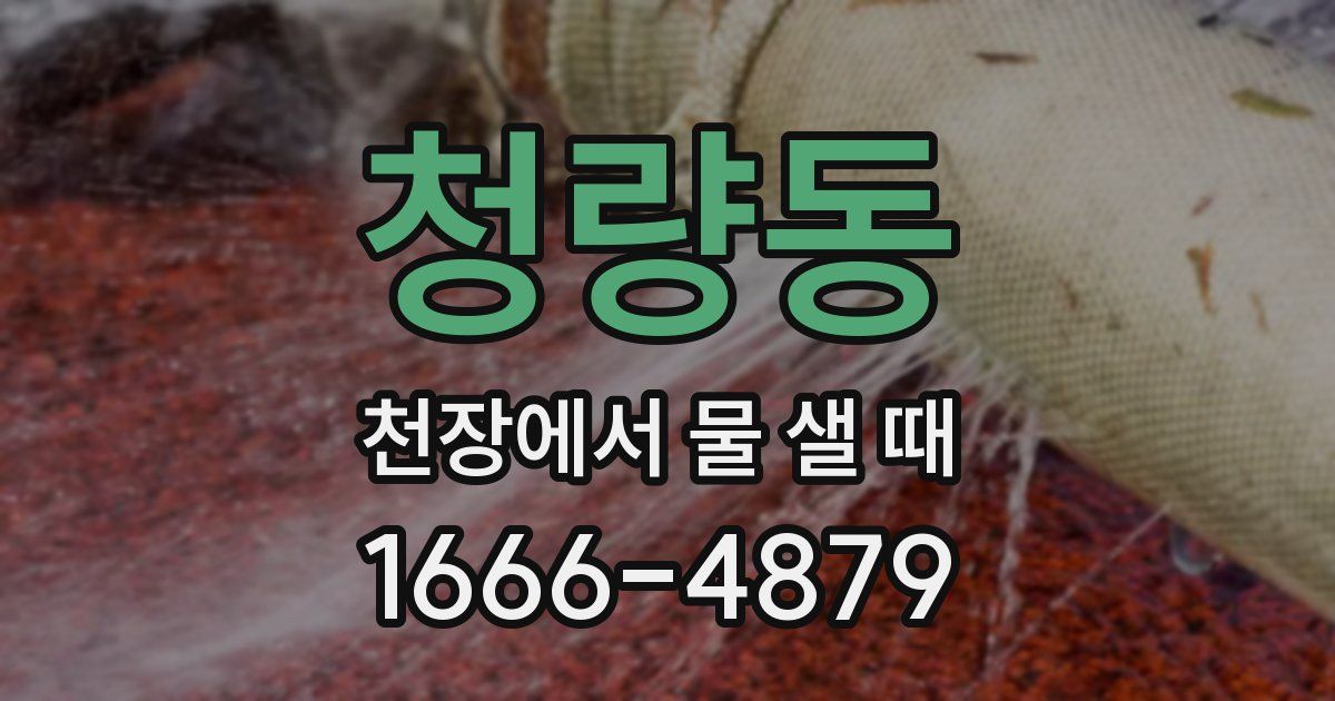 청량동 천장에서 물 샐 때