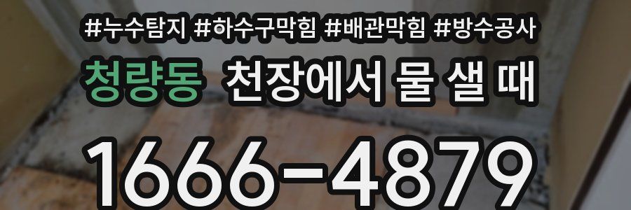 청량동 천장에서 물 샐 때