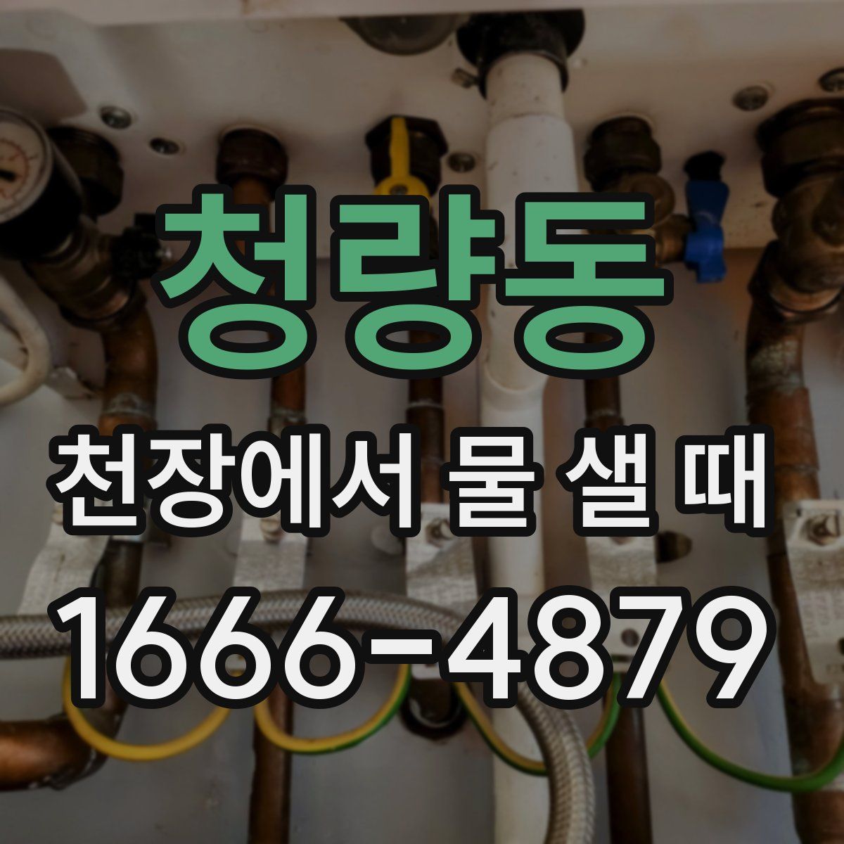 청량동 천장에서 물 샐 때