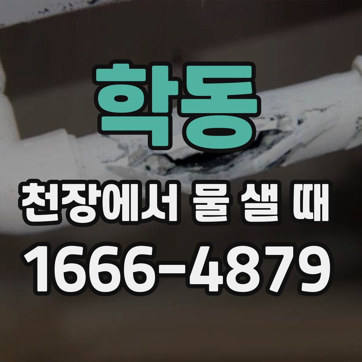학동 천장에서 물 샐 때