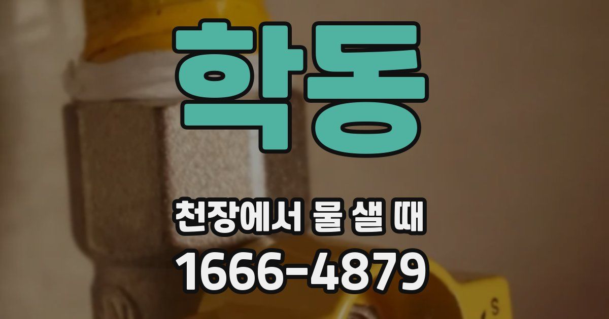 학동 천장에서 물 샐 때