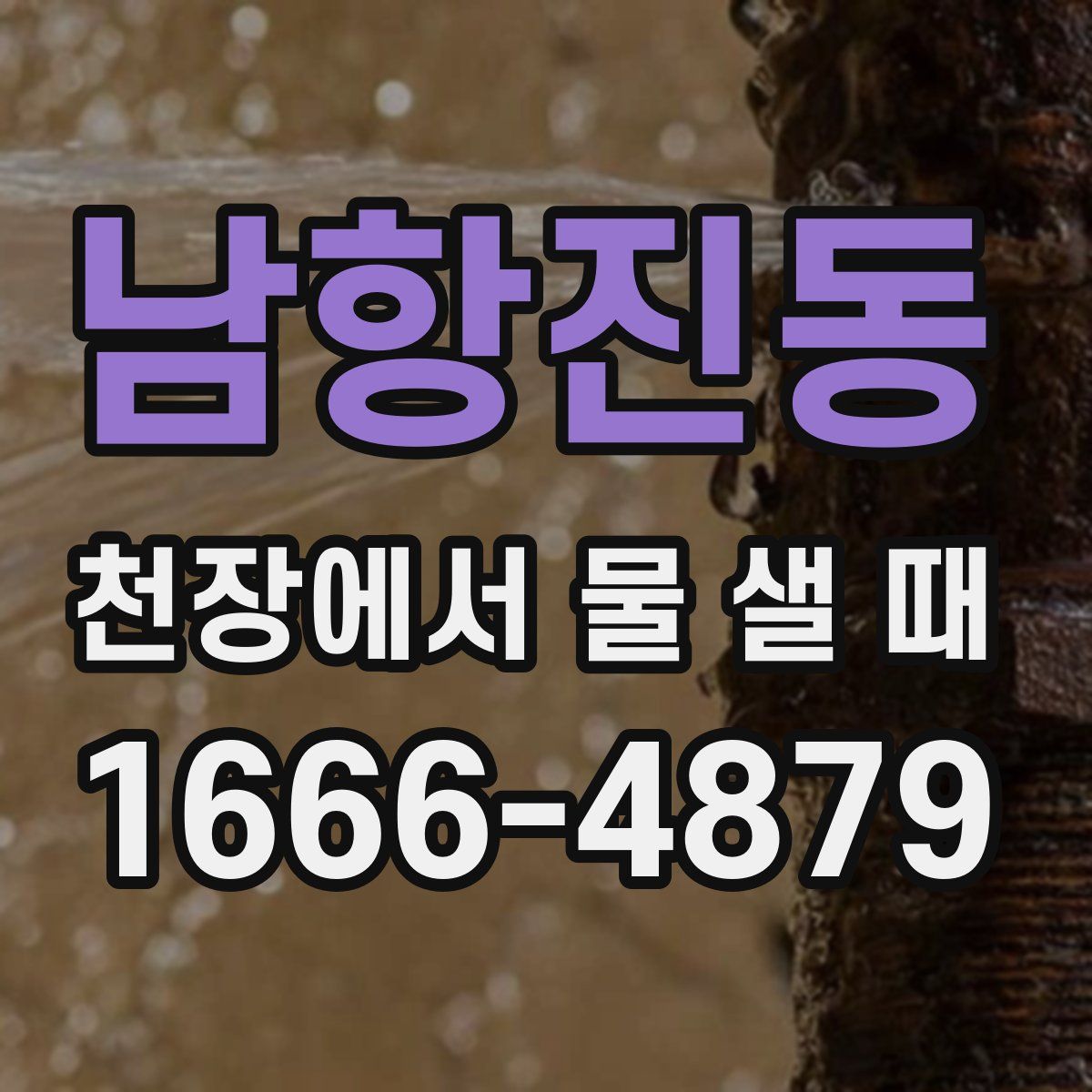 남항진동 천장에서 물 샐 때