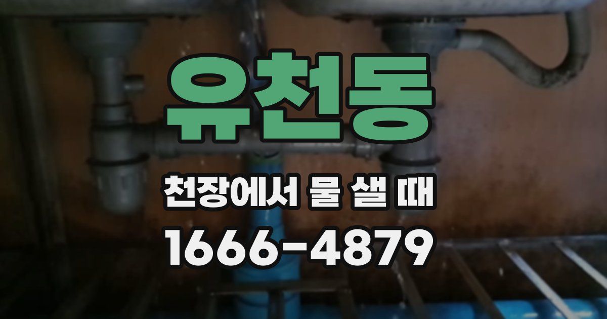 유천동 천장에서 물 샐 때