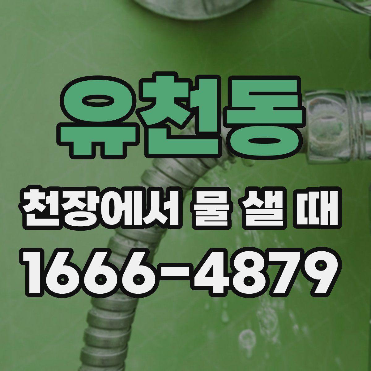 유천동 천장에서 물 샐 때