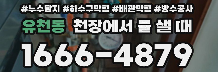 유천동 천장에서 물 샐 때