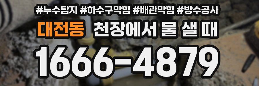 대전동 천장에서 물 샐 때