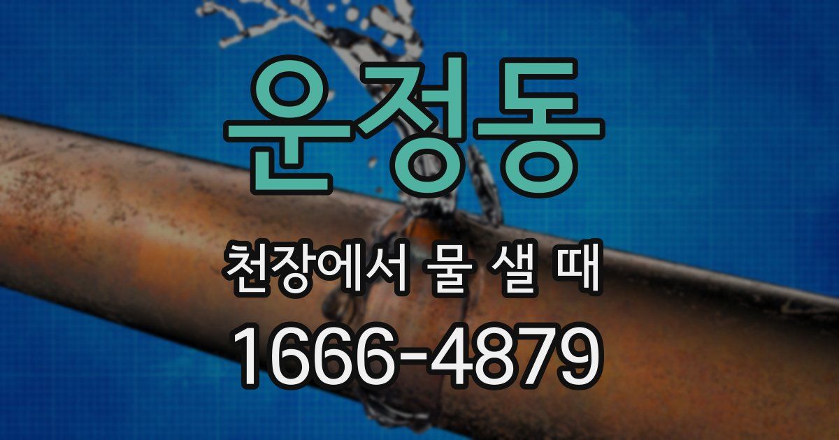 운정동 천장에서 물 샐 때