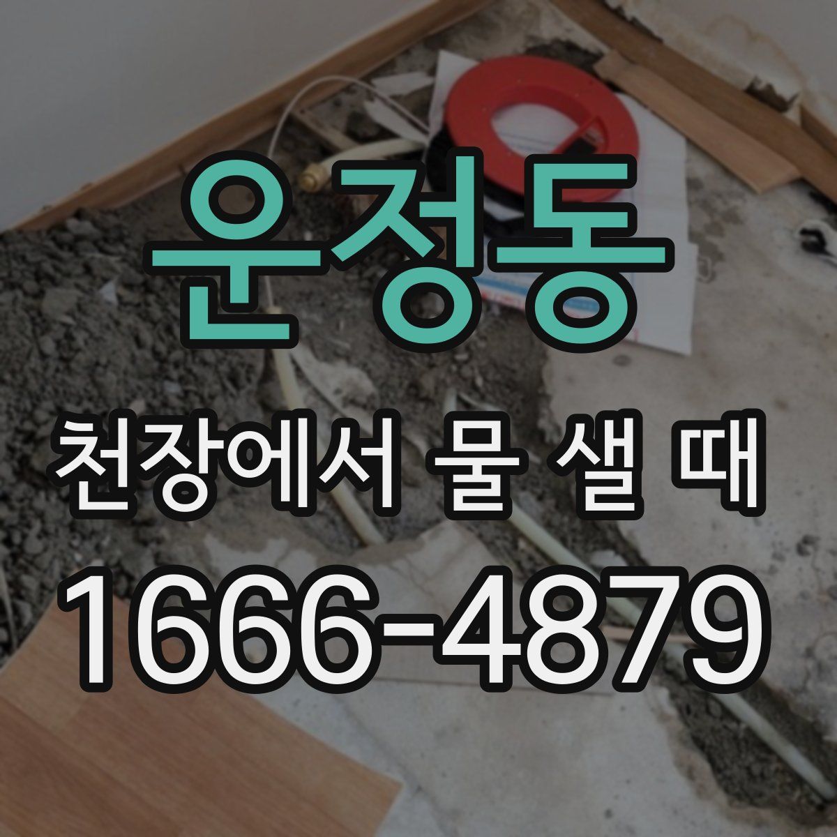 운정동 천장에서 물 샐 때
