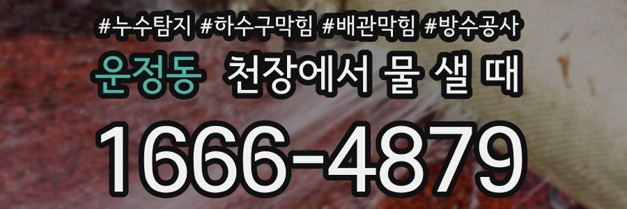 운정동 천장에서 물 샐 때
