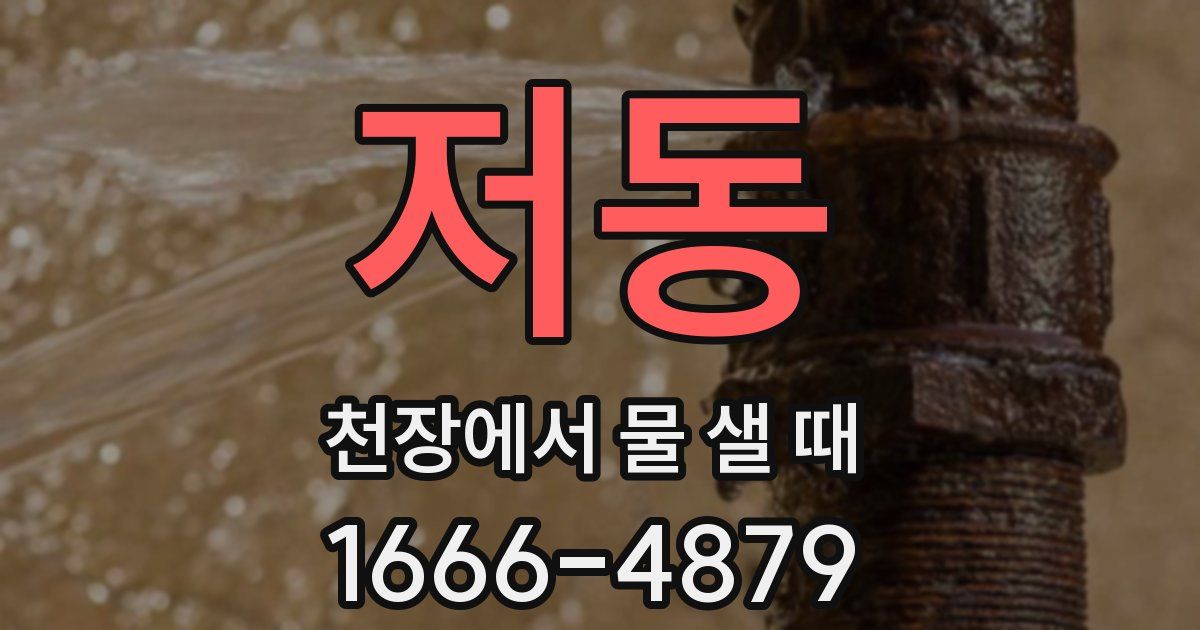 저동 천장에서 물 샐 때
