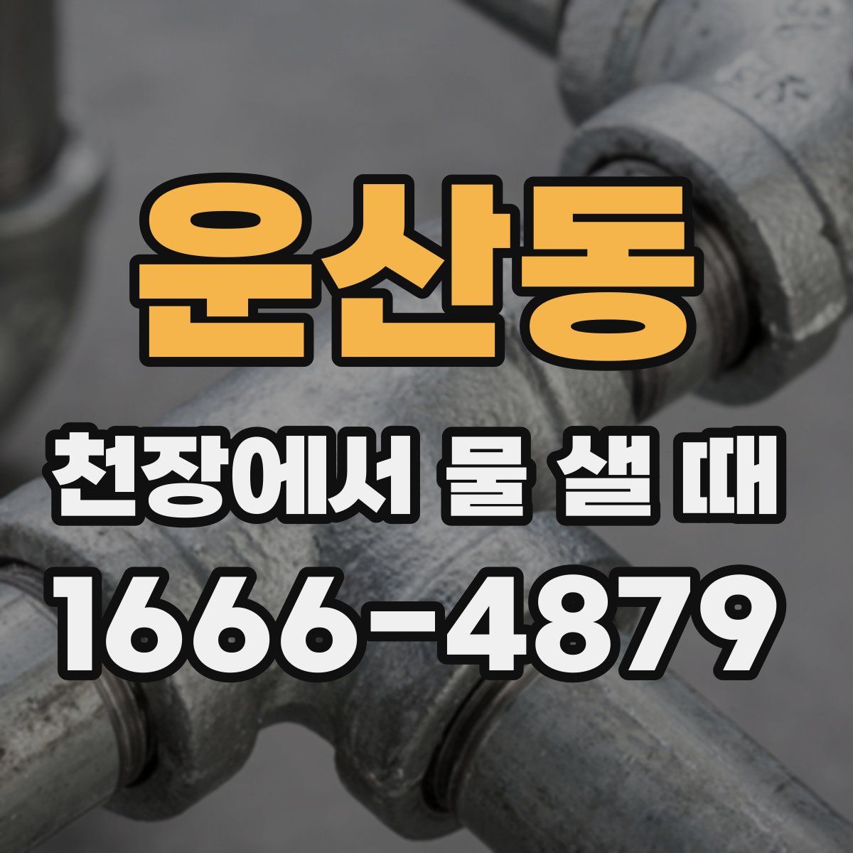 운산동 천장에서 물 샐 때