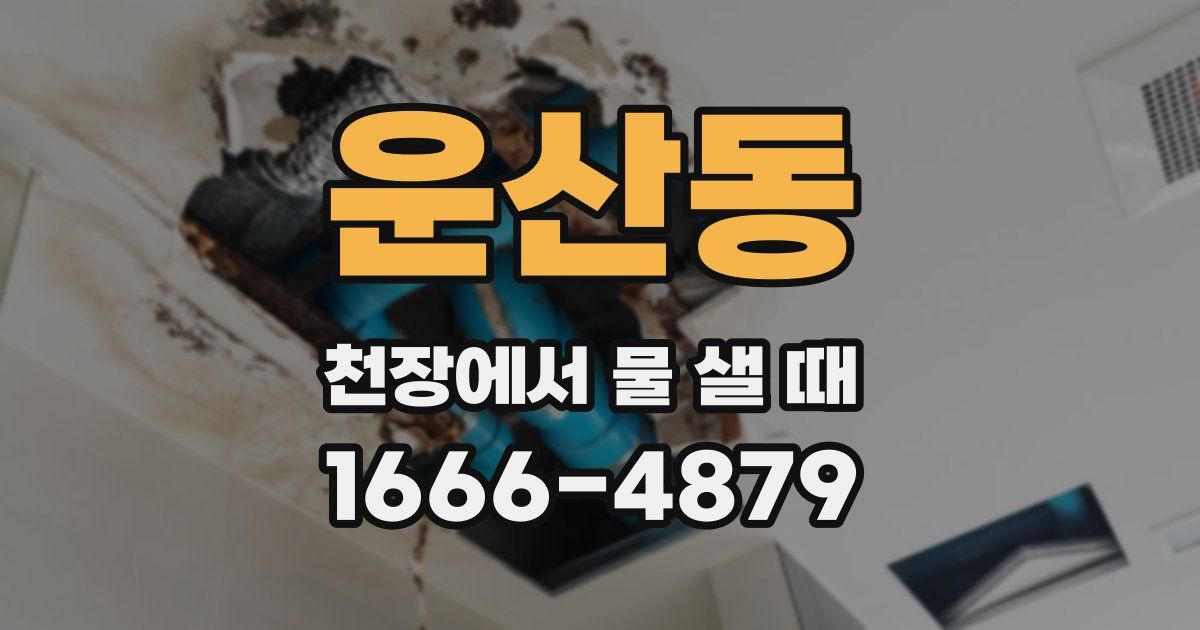 운산동 천장에서 물 샐 때