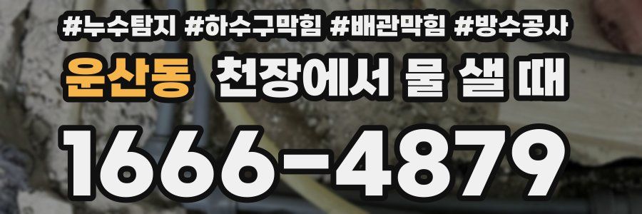 운산동 천장에서 물 샐 때