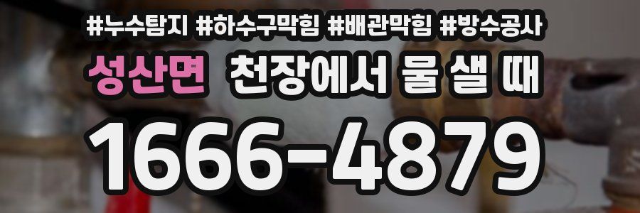 성산면 천장에서 물 샐 때