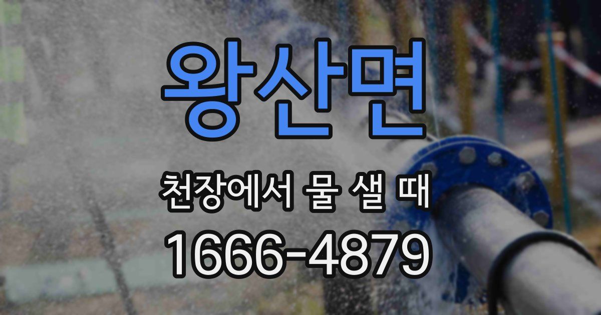 왕산면 천장에서 물 샐 때
