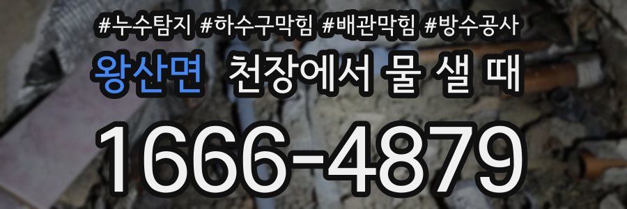 왕산면 천장에서 물 샐 때