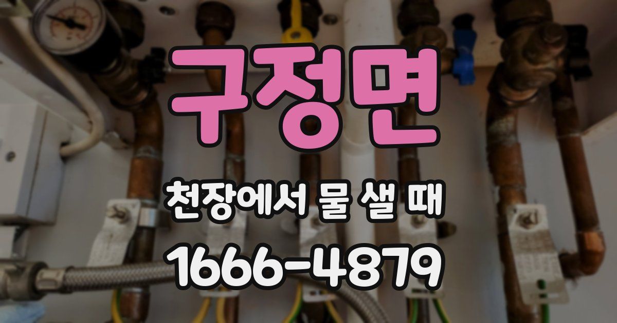 구정면 천장에서 물 샐 때
