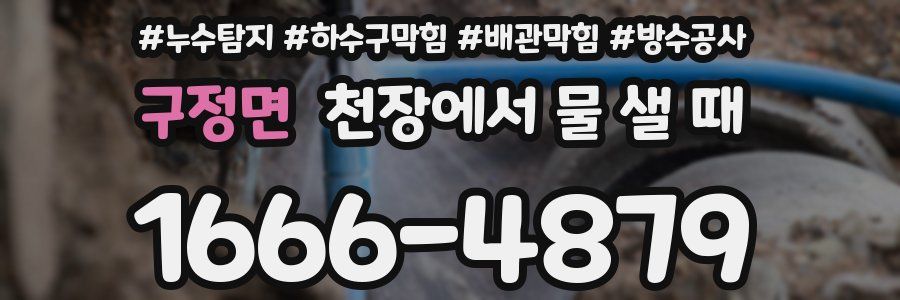 구정면 천장에서 물 샐 때