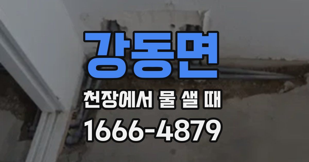 강동면 천장에서 물 샐 때