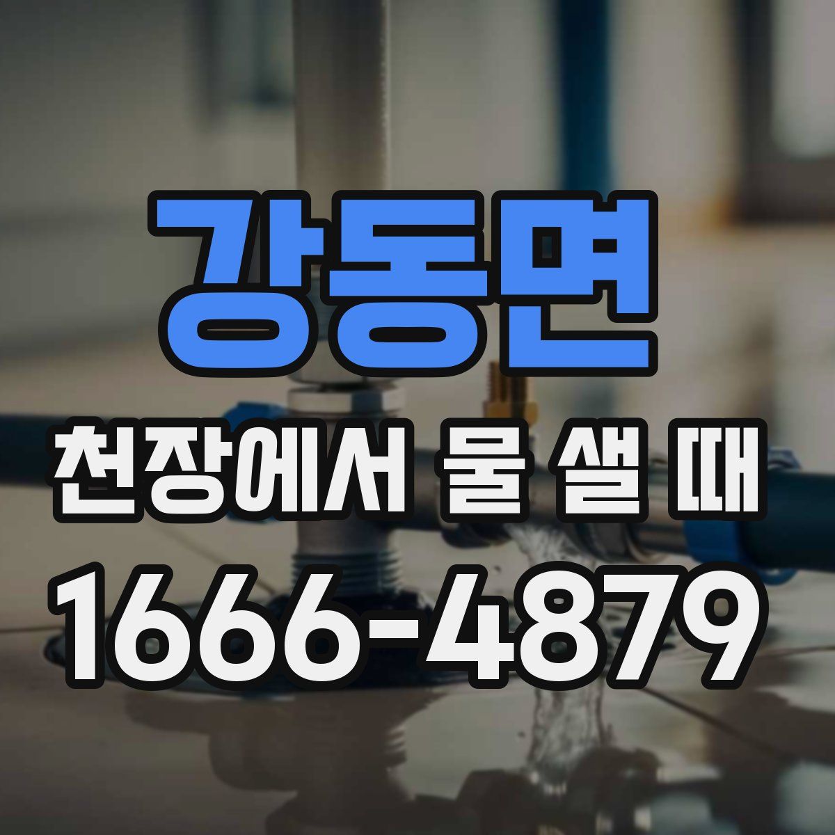 강동면 천장에서 물 샐 때