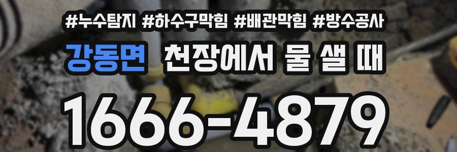 강동면 천장에서 물 샐 때