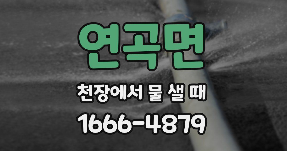 연곡면 천장에서 물 샐 때