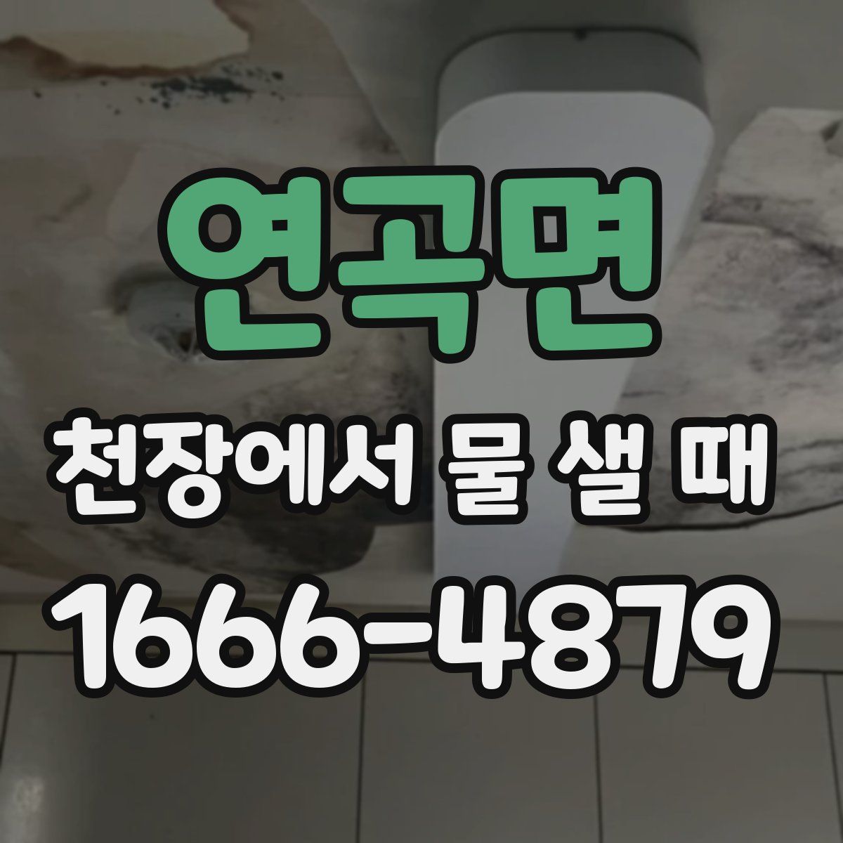 연곡면 천장에서 물 샐 때