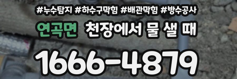 연곡면 천장에서 물 샐 때
