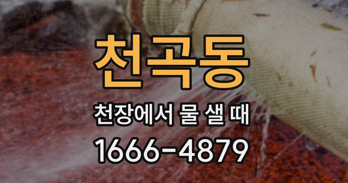 천곡동 천장에서 물 샐 때