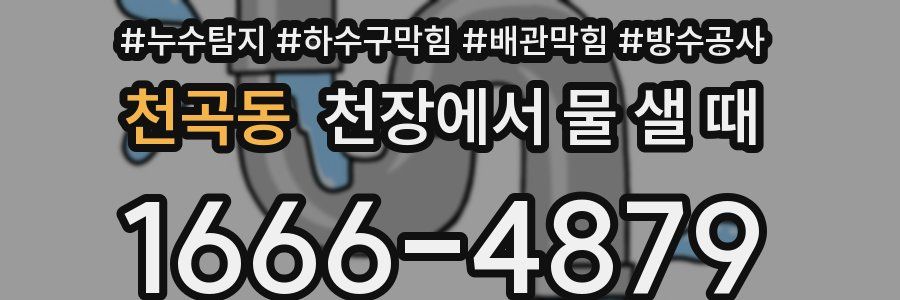 천곡동 천장에서 물 샐 때