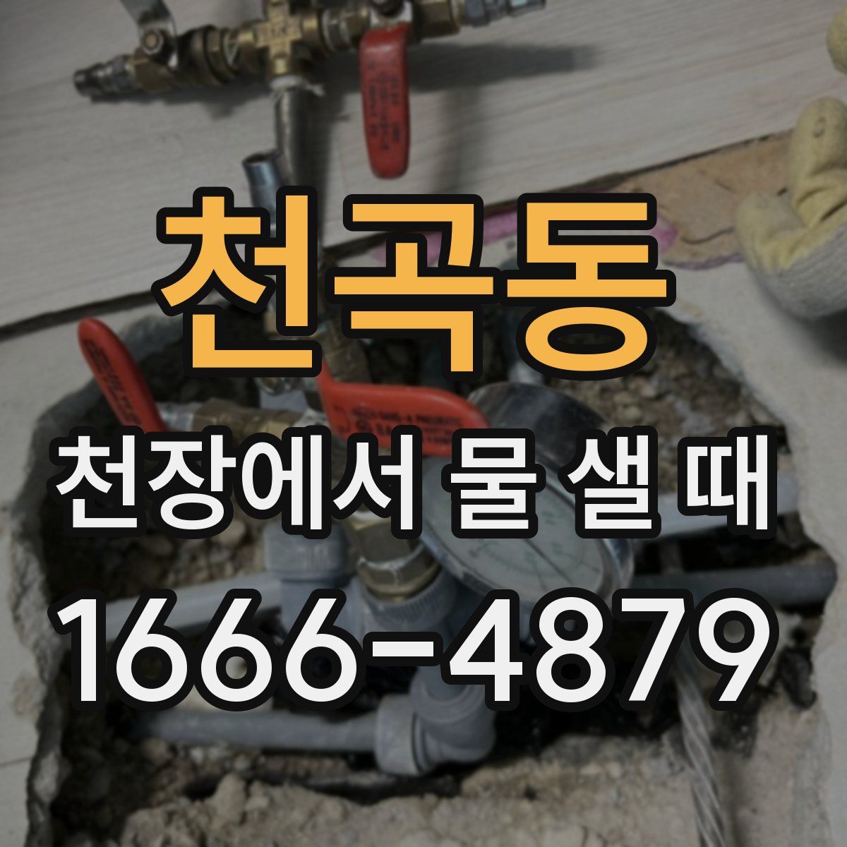 천곡동 천장에서 물 샐 때